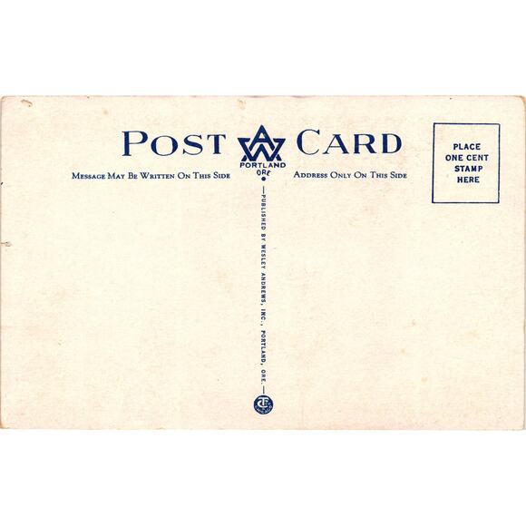 Vintage Bridal Veil Falls Oregon Postcard Columbia River Banks Unused - Picture 2 of 2